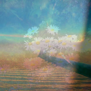 Pretty white flowers overlaid a cloudscape from an airplane.